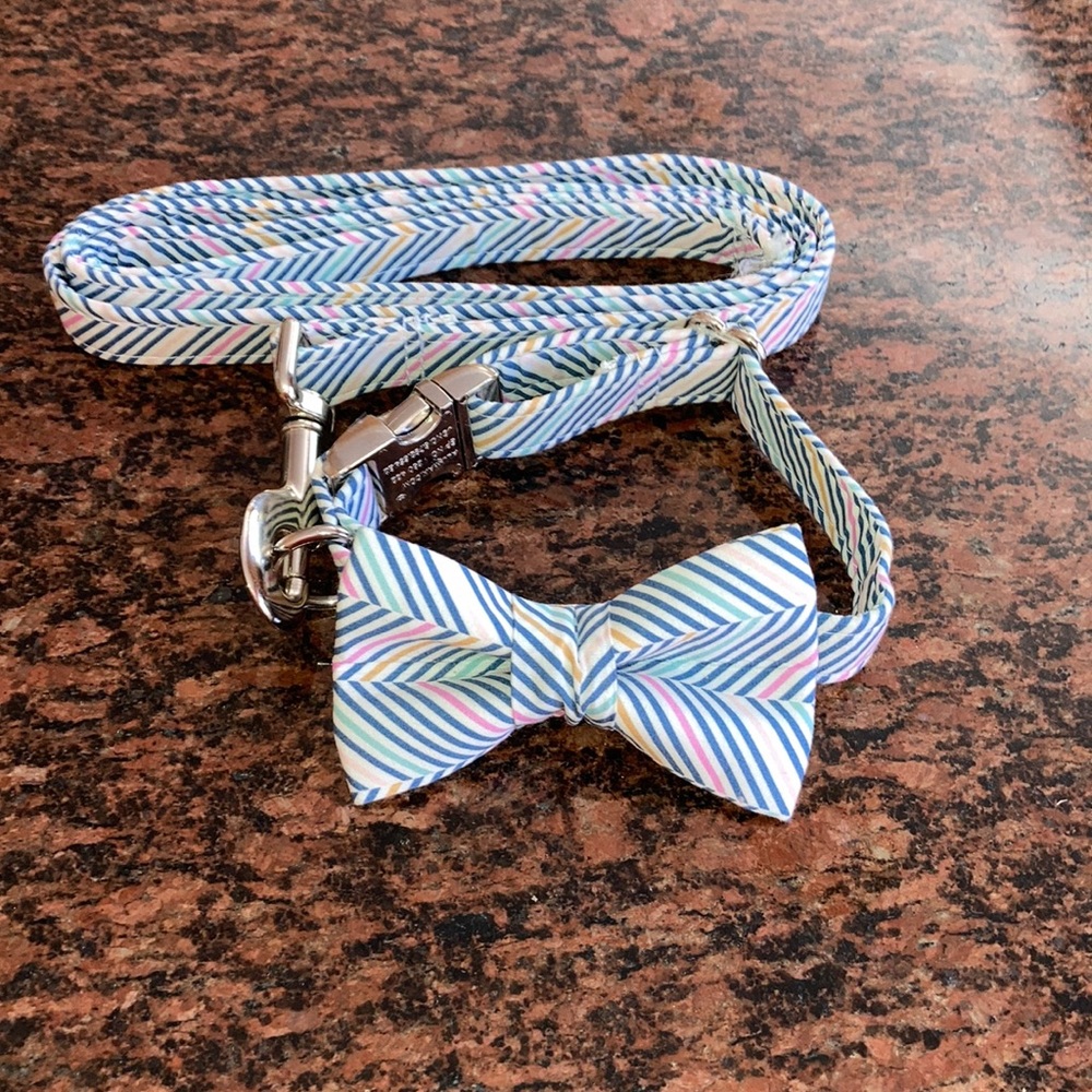 Brand New Dog Collar and Leash